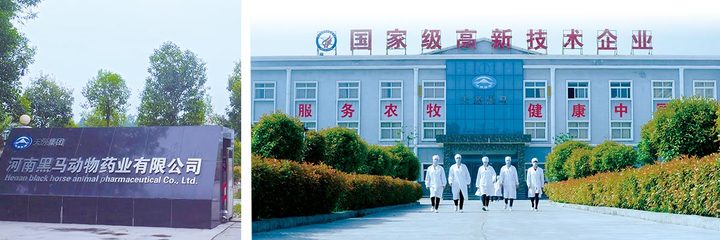 畜牧漁業(yè)飼料 產(chǎn)業(yè)支撐與綠色發(fā)展的關(guān)鍵