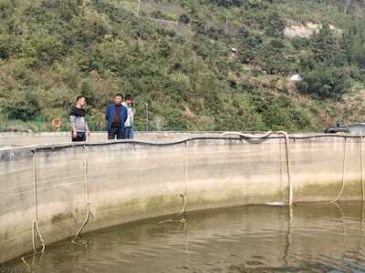 筑牢安全防線 守護(hù)綠水青山——縣農(nóng)業(yè)農(nóng)村局赴花梨鎮(zhèn)開展鱘鱸種業(yè)園專項(xiàng)檢查