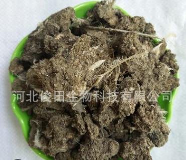 農(nóng)業(yè)全產(chǎn)業(yè)鏈縱覽 從農(nóng)田到餐桌的多元生態(tài)